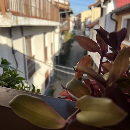La Golondrina Apartment Candeleda Bagian luar foto